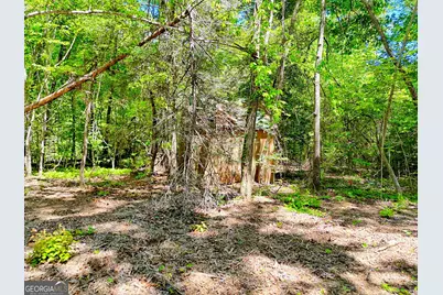 135 (Lot 5) Whispering Dale Road, Clarkesville, GA 30523 - Photo 20