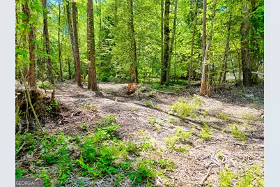 135 (Lot 5) Whispering Dale Road, Clarkesville, GA 30523 - Photo 10