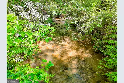 135 (Lot 5) Whispering Dale Road, Clarkesville, GA 30523 - Photo 4