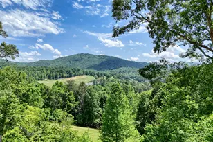 64 Town View Cir, Blairsville, GA 30512 - Photo 2