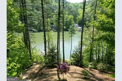 513 Georgia Lane, Lakemont, GA 30552 - Photo 50