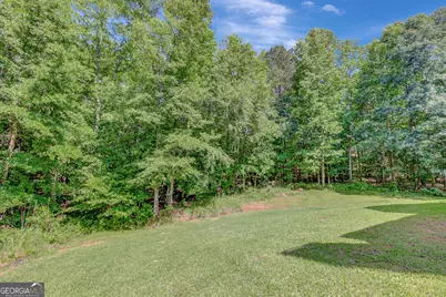167 S Arbor Shores, Newnan, GA 30265 - Photo 66