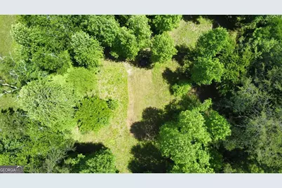 Tract 2 Timber Ridge Road, Blairsville, GA 30512 - Photo 8