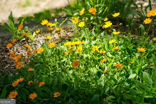 1289 Rainwater Trail, Tiger, GA 30576 - Photo 82