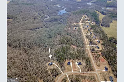 146 Starlight Drive, Senoia, GA 30276 - Photo 4