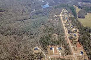 146 Starlight Dr, Senoia, GA 30276 - Photo 54