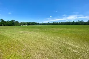 5879 Beatty Mill Creek Rd, Ray City, GA 31645 - Photo 4