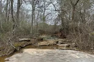 1015 N Walker's Mill Rd, Griffin, GA 30223 - Photo 20