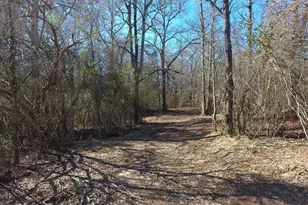 1015 N Walker's Mill Rd, Griffin, GA 30223 - Photo 140