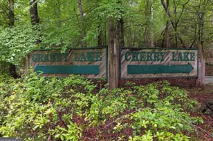 31 Eagle Feather Drive, Cherrylog, GA 30522 - Photo 32