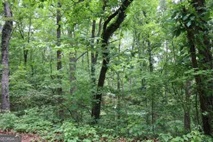 49 Lake Top Dr SE, Cartersville, GA 30121 - Photo 14