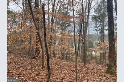 49 Lake Top Drive SE, Cartersville, GA 30121 - Photo 4