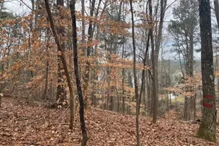 49 Lake Top Dr SE, Cartersville, GA 30121 - Photo 4