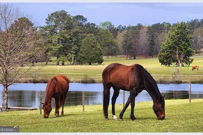 947 Bellhouse Road, Macon, GA 31217 - Photo 86