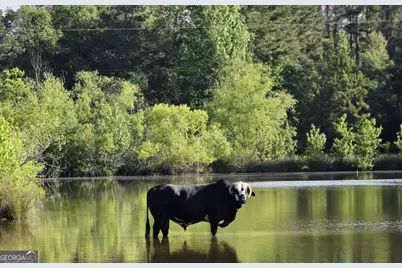 947 Bellhouse Road, Macon, GA 31217 - Photo 62