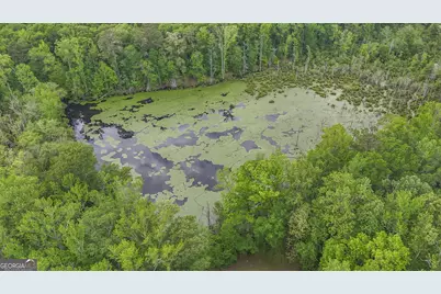 14501 Woolsey Road, Hampton, GA 30228 - Photo 136