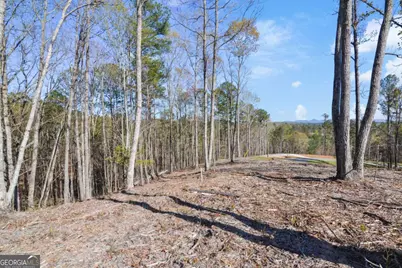 Lot 103 Blalock Mountain Road, Talking Rock, GA 30175 - Photo 12