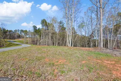 Lot 103 Blalock Mountain Road, Talking Rock, GA 30175 - Photo 16
