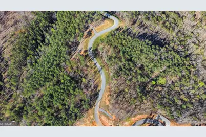 Lot 103 Blalock Mountain Road, Talking Rock, GA 30175 - Photo 4