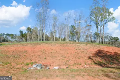 Lot 103 Blalock Mountain Road, Talking Rock, GA 30175 - Photo 8