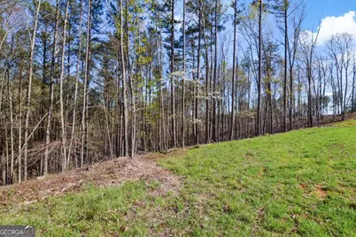 Lot 103 Blalock Mountain Road, Talking Rock, GA 30175 - Photo 20
