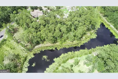 0 Black Tern Way, Waverly, GA 31565 - Photo 10