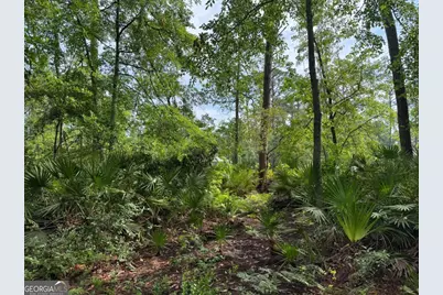 0 Black Tern Way, Waverly, GA 31565 - Photo 8