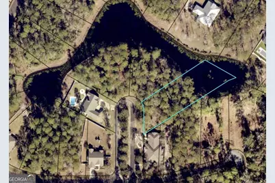 0 Black Tern Way, Waverly, GA 31565 - Photo 4