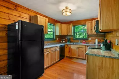 488 S Lemmon Lane #289, Ellijay, GA 30540 - Photo 10