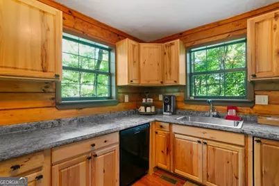 488 S Lemmon Lane #289, Ellijay, GA 30540 - Photo 16