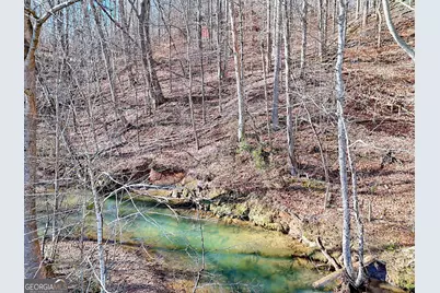5827 Brasstown Creek Estate, Young Harris, GA 30582 - Photo 48