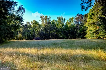 426 Wadley Coleman Lake Road, Midville, GA 30441 - Photo 74