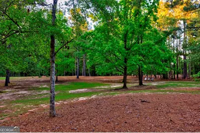 426 Wadley Coleman Lake Road, Midville, GA 30441 - Photo 64