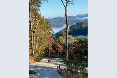 333 Favor Lane, Rabun Gap, GA 30568 - Photo 14