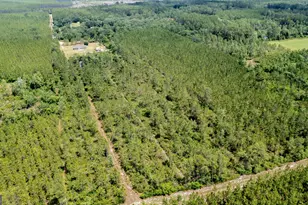 989 Ralph Davis Rd, Folkston, GA 31537 - Photo 54