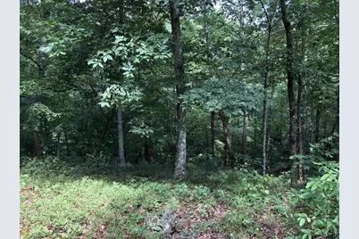 0 Forked Leaf Road #35, Cleveland, GA 30528 - Photo 2