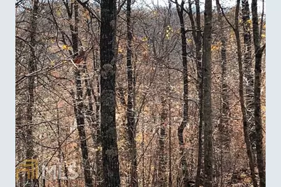 0 Forked Leaf Road #35, Cleveland, GA 30528 - Photo 4