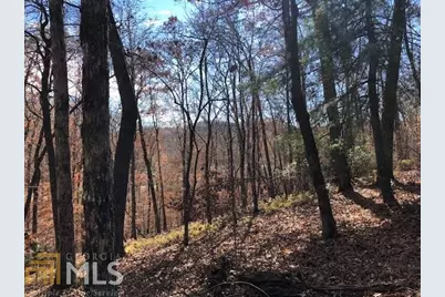 0 Forked Leaf Road #35, Cleveland, GA 30528 - Photo 6