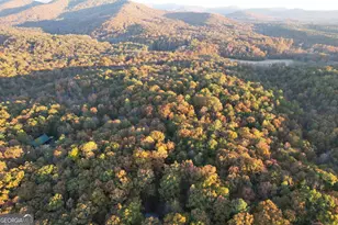 Lot 51 53 Squirrel Hunting Rd, Ellijay, GA 30536 - Photo 1