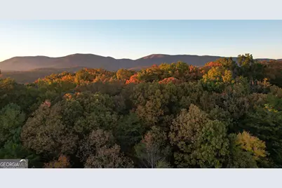 Lt 51, 53 Squirrel Hunting Road, Ellijay, GA 30536 - Photo 22