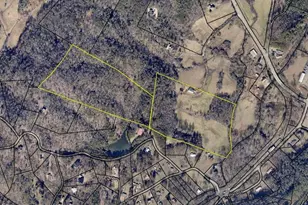 141 Doc Roof Rd, Mineral Bluff, GA 30559 - Photo 20