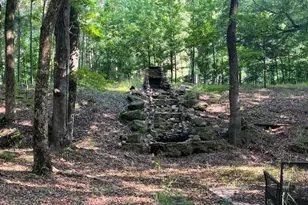 1980 Kilgore Rd, Griffin, GA 30223 - Photo 58