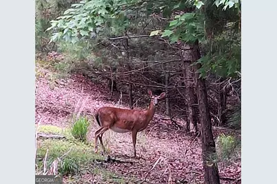 180 Shepherds Ridge, Morganton, GA 30560 - Photo 18