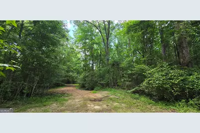 1693 S McDonough Road, Griffin, GA 30224 - Photo 52