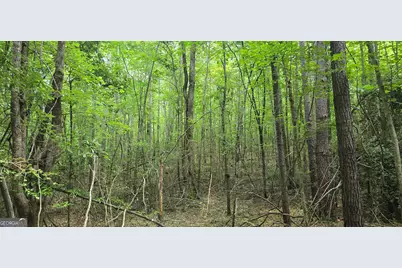 1693 S McDonough Road, Griffin, GA 30224 - Photo 60