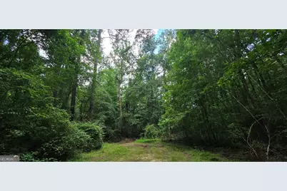 1693 S McDonough Road, Griffin, GA 30224 - Photo 56