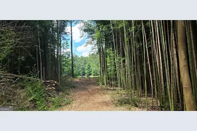 1693 S McDonough Road, Griffin, GA 30224 - Photo 94