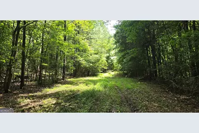 1693 S McDonough Road, Griffin, GA 30224 - Photo 62