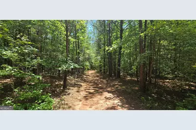 1693 S McDonough Road, Griffin, GA 30224 - Photo 14