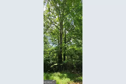 1693 S McDonough Road, Griffin, GA 30224 - Photo 80